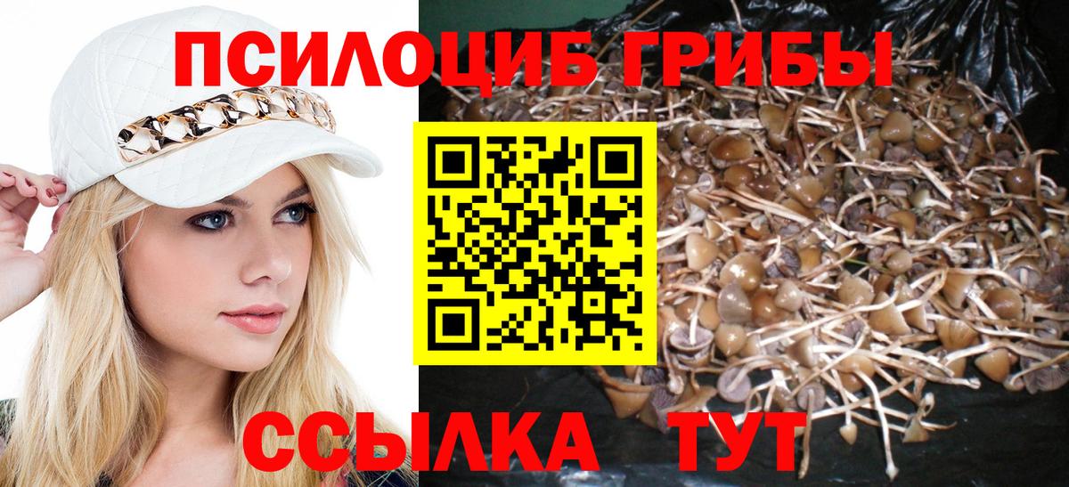 Галлюциногенные грибы мицелий Туймазы