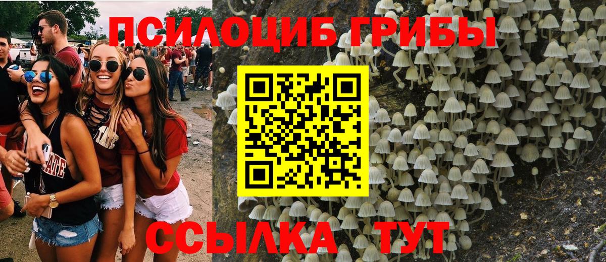 Туймазы  Псилоцибиновые грибы прущие грибы  Вход с VPN 